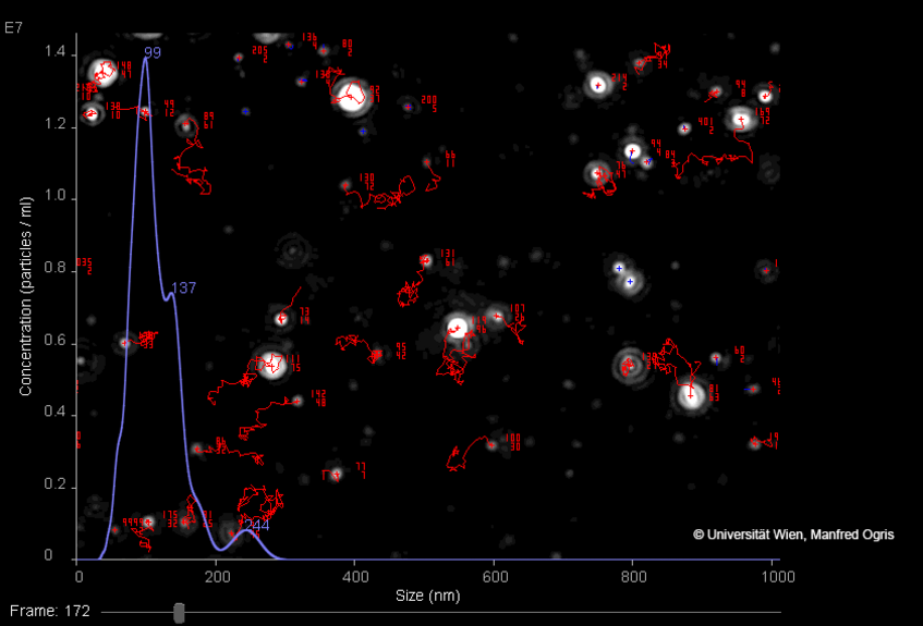 Nanoparticle Tracking Analysis (NTA)